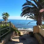 Corse - Bord De Mer, Neuf Avec Piscine Chauffee * Linguizzetta