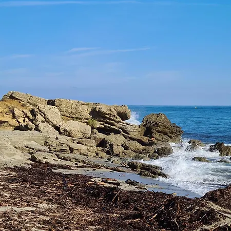 Corse - Bord De Mer, Neuf Avec Piscine Chauffee Apartament