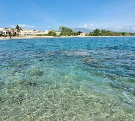 Corse - Bord De Mer, Neuf Avec Piscine Chauffee Apartament Linguizzetta