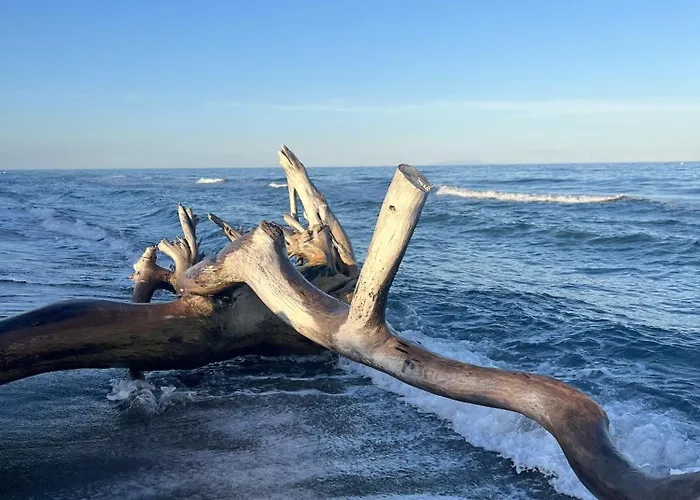 Appartement Corse, 3 Chambres, Confort, Accès Direct *